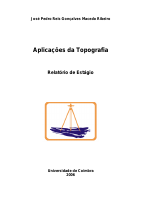 Pedro Reis Estagio.pdf
